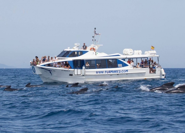  Osservazione dei globicefali a Tarifa - 999 - Vedere i delfini in gruppo 